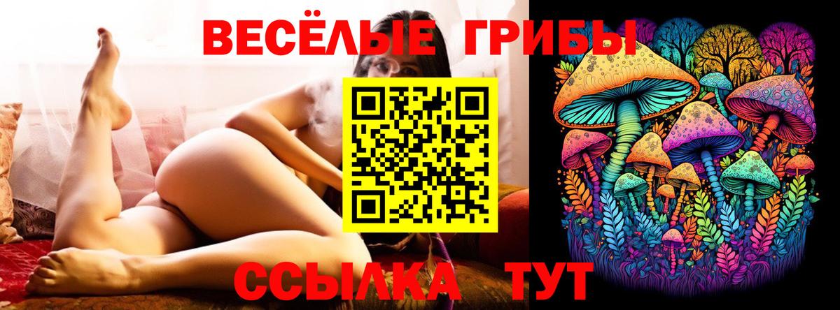 Бахчисарай  Псилоцибиновые грибы MAGIC MUSHROOMS  Галлюциногенные грибы мухоморы  Вход с VPN 