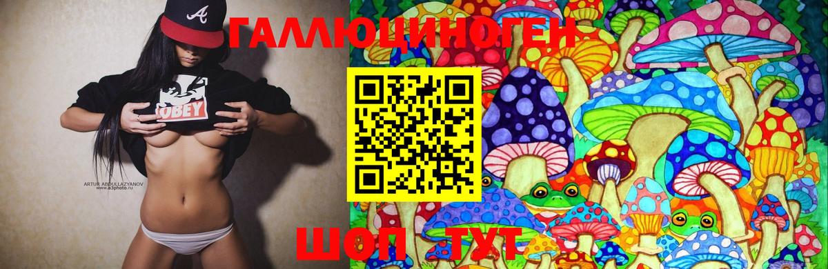 Галлюциногенные грибы GOLDEN TEACHER Бахчисарай